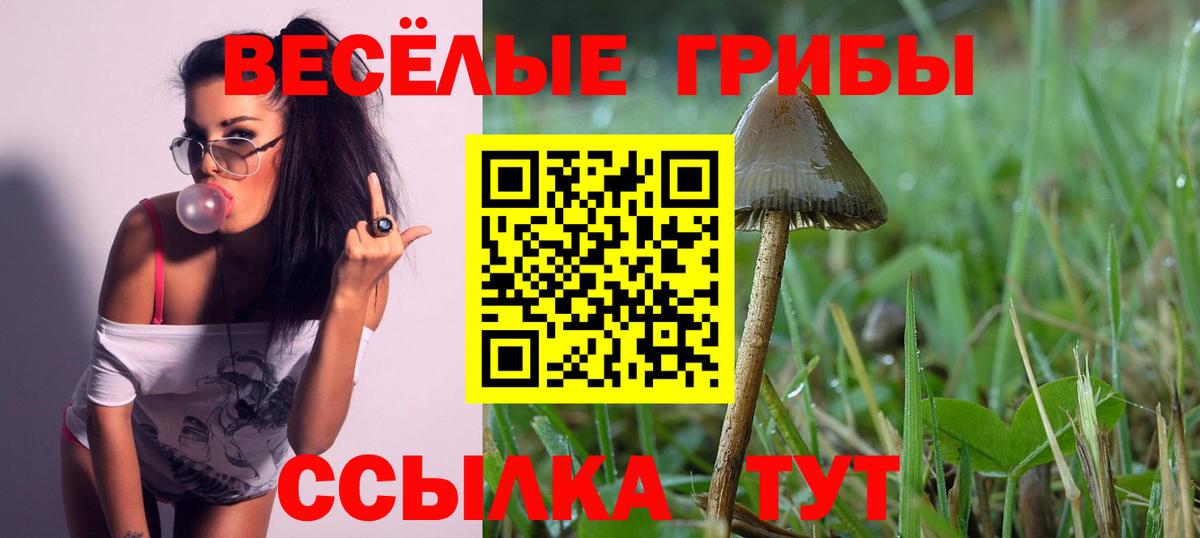 Алексеевка  купить  сайты  Вход с VPN  Псилоцибиновые грибы мухоморы  Галлюциногенные грибы MAGIC MUSHROOMS 