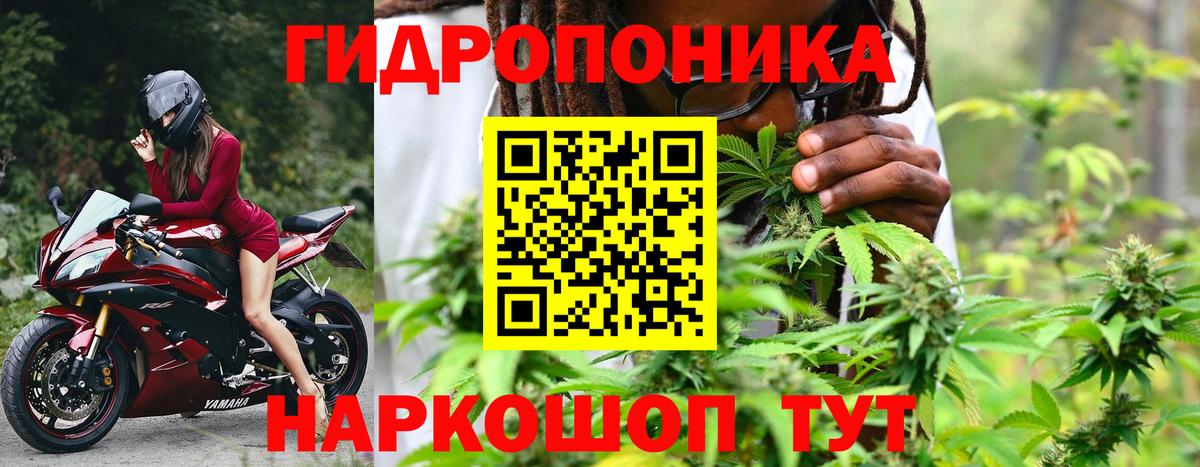 МАРИХУАНА индика  Каннабис план  Алексеевка  Вход с VPN 
